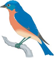 BLUEBIRD.CMX
