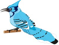 BLJAY.CMX