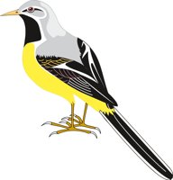 BIRDGREY.CMX