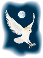 BARNOWL.CMX