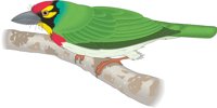 BARBET.CMX