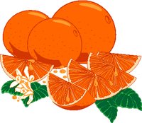 ORANGES2.WMF