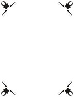BORDER13.CMX