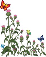 THISTLE.CMX