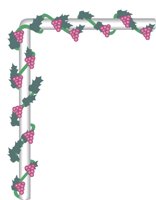 PLANTBRD.CMX