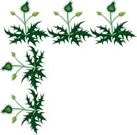 FLORAL6.CMX