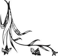 BTRFLYLL.CMX