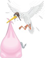 STORK.CMX