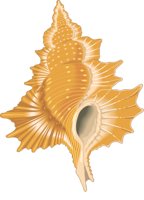 TRITON.CMX