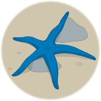 STARFSH3.CMX