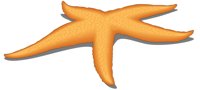 STARFSH1.CMX