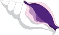 SHELL1.CMX