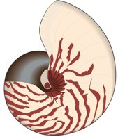 NAUTILUS.CMX