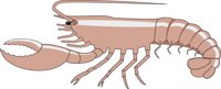 LOBSTER3.CMX