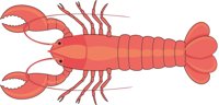 LOBSTER2.CMX
