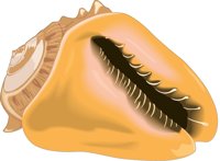HELMET.CMX