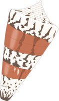 CONE.CMX