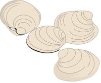 CLAMS.CMX