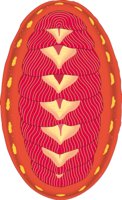 CHITON.CMX