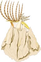 BARNACLE.CMX