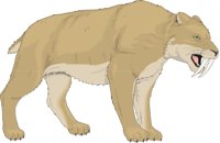 STTIGER.CMX