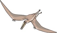 PTERODAC.CMX