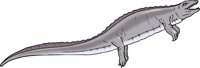 PLACODUS.CMX