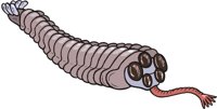 OPABINIA.CMX