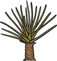 LYCOPSID.CMX