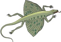 KUEHNEOS.CMX