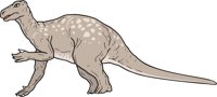 IGUANADO.CMX