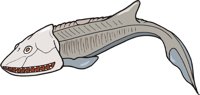 HEMICYCL.CMX