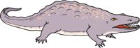 ERYOPS.CMX