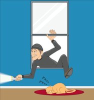 BURGLAR.CMX