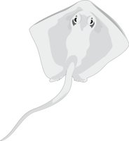 STINGRAY.CMX