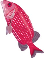 SQURFISH.CMX