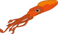 SQUID2.CMX