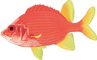 SPSQFISH.CMX