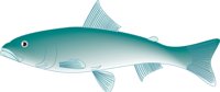 SOCKEYE2.CMX