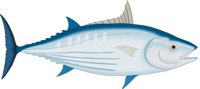 SKIPJACK.CMX
