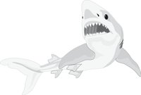 SHARK4.CMX