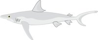 SHARK3.CMX