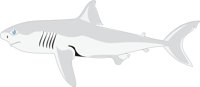 SHARK2.CMX