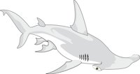 SHARK1.CMX