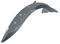 SEIWHALE.CMX