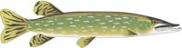 PIKE.CMX