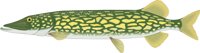 PICKEREL.CMX
