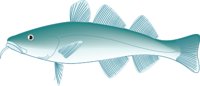 PACCOD.CMX