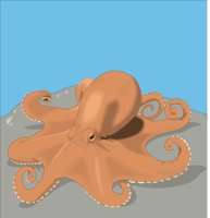 OCTOPUS.CMX