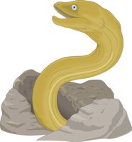 MORAY.CMX